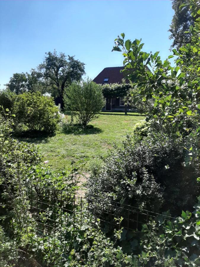 Bed and Breakfast Bruiler Hof Ruurlo Esterno foto