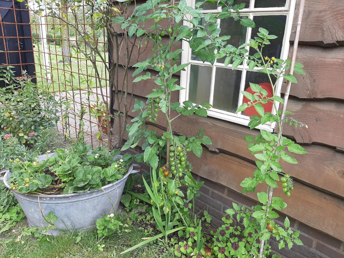Bed and Breakfast Bruiler Hof Ruurlo Esterno foto