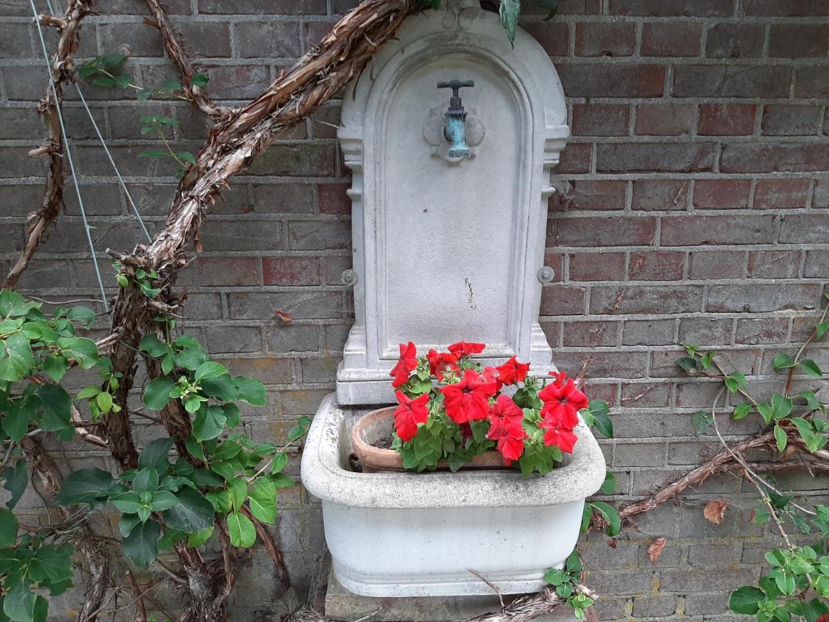 Bed and Breakfast Bruiler Hof Ruurlo Esterno foto